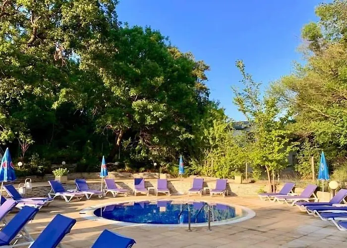 Boutique Orchidea ホテル