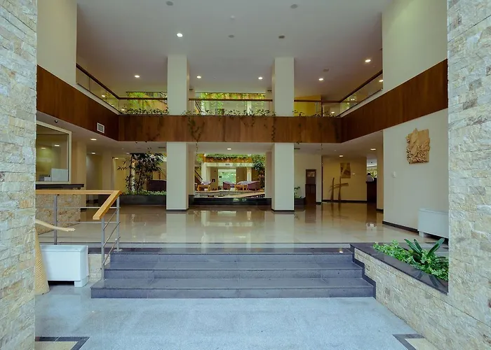 Boutique Orchidea ホテル