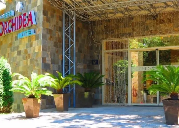 Boutique Orchidea ホテル