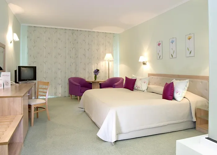 ホテル Boutique Orchidea