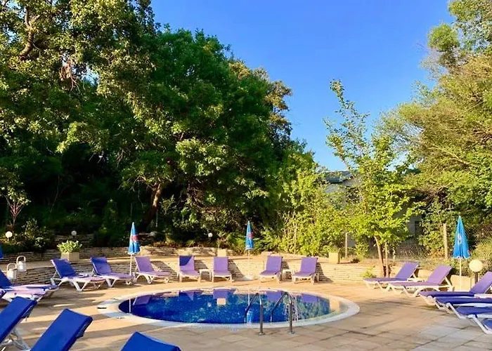 Boutique Orchidea ホテル 4*